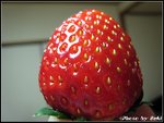 IMG_2840