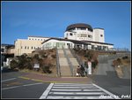 IMG_2973