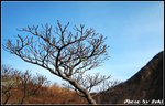 IMG_2974