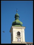 IMG_1570