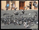 IMG_1581