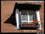 IMG_1650