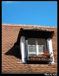 IMG_1651