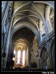 IMG_1662