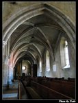 IMG_1674