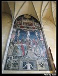 IMG_1675