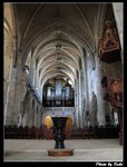 IMG_1678