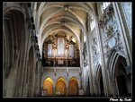IMG_1681