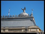 IMG_2038