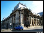IMG_2048