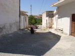 DSC00370