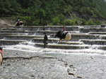 IMG_0590
