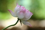 IMG_2376_1