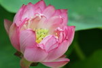 IMG_2380_1