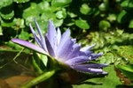 IMG_2381_1