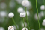 IMG_2393_1