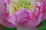 IMG_2395_1