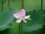 DSCN1290