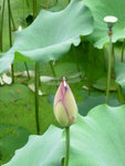 DSCN1295