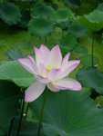 DSCN1299