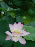DSCN1300