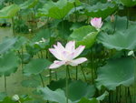 DSCN1315