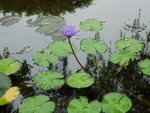 DSCN1344