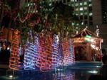 DSCN0905