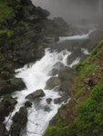 IMG_4502