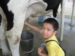搾牛奶
IMG_4643