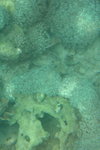 IMG_2315_1