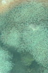 IMG_2319_1