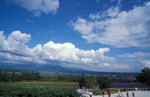 富田花圃
Furano040713a-23