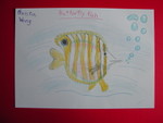 Butterfly Fish
DSCN3582