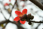 IMG_0565_1