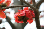 IMG_0574_1