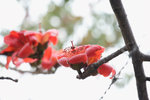 IMG_0577_1