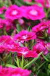 IMG_0635_1