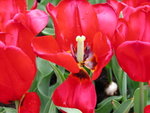 DSCN4480