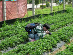 DSCN3249a