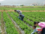 DSCN3251a