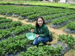 DSCN3253a