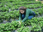 DSCN3254a