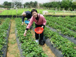 DSCN3255a