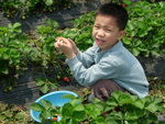 DSCN3266a
