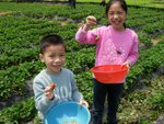 DSCN3268a