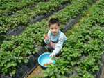 DSCN3275a
