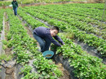DSCN3276a