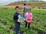 DSCN3277a