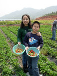 DSCN3278a